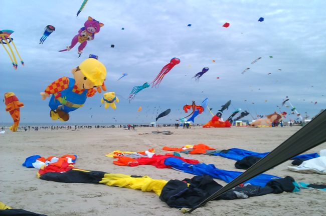 berck201301