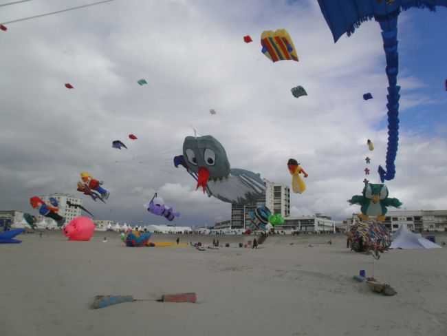 berck201303