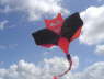 Drachenfestival FAN� 2008