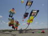 Drachenfestival FAN� 2008