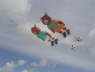 Drachenfestival FAN� 2008