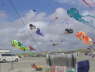 Drachenfestival FAN� 2008